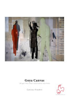 Hahnemühle Goya Canvas Poly-Cotton, white, satin...