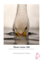 Hahnemühle Photo Luster 290  1,118x30m 290gsm 1...