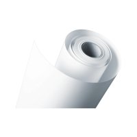Epson Photo Paper Gloss 250 g 61 cm (24 ) x 30,5 m    S...